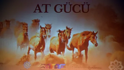 "At gücü" sənədli filminin təqdimatı keçirildi - FOTO