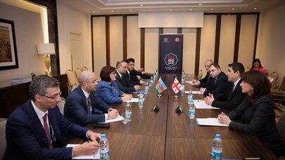 Sahibə Qafarova Gürcüstan Parlamentinin Fəxri medalı ilə təltif edildi