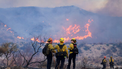 Yanğınsöndürənlərdən maraqlı addım - Adanın tam yanmasını gözlədilər(FOTO)