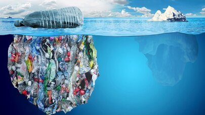 Çayların və göllərin kokainlə çirklənməsi bu problemlərə yol açır