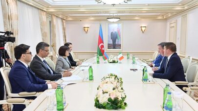 Sahibə Qafarova irlandiyalı deputatlarla görüşdü - FOTO