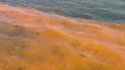 Mərmərə dənizini niyə qəhvəyi rəngə boyanıb? - VİDEO