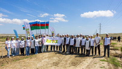 “Araz” supermarketlər şəbəkəsi ağacəkmə aksiyası keçirdi - FOTO