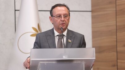 Bakı-Ankara-İslamabad birliyi regional təhlükəsizliyin əsasıdır - Samir Vəliyev