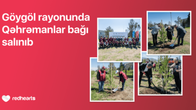 Göygöldə “Qəhrəmanlar bağı” aksiyası həyata keçirilib