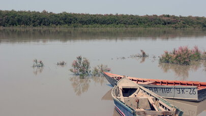 Kür geri çəkilir - Nə baş verir?(VİDEO)