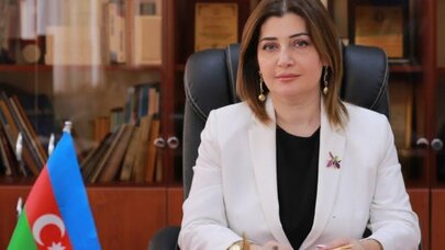 Yalnız bu yolla uşaqlar üçün daha təhlükəsiz və sağlam mühit yaratmaq mümkündür - Dilarə Cəbrayılova