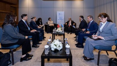 Bacarıqlar Sammiti çərçivəsində ikitərəfli görüşlər keçirildi - FOTO