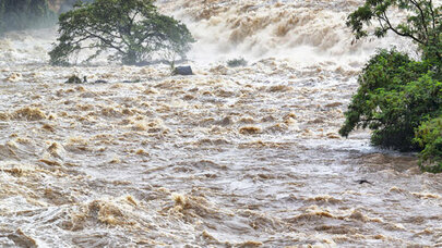 Prezidentin müvafiq sərəncamı vaxtında atılmış və təqdirəlayiq addımdır - Azər Badamov