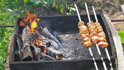 Piknikdə qətl: Kabab əvəzinə dostunun ürəyini şişə çəkdi