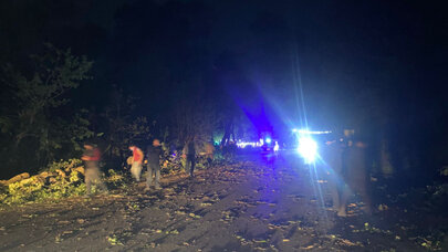 Şabranda ağac aşdı, Gəndob-Yalama yolu bağlandı - FOTO