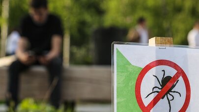 Sizi gənə dişləyibsə, gecikməyin, yoxsa... - Həkim görün nə dedi