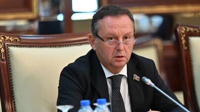 Avropa Siyasi Birliyi mühüm siyasi platformadır - Samir Vəliyev