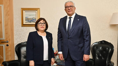 Sahibə Qafarova Monteneqro parlamentinin sədri ilə görüşdü
