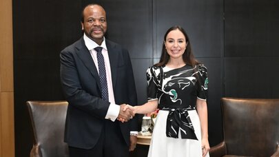Leyla Əliyeva Esvatini Kralı ilə görüşdü - FOTO