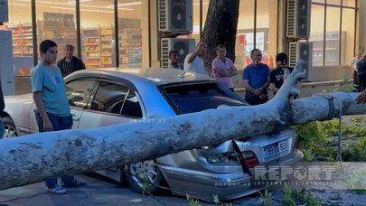 Güclü külək ağacı "Mersedes"in üzərinə aşırdı