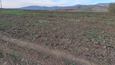 Məşhur aparıcı 10 hektar torpaq aldı: Görün nə işlə məşğul olacaq - FOTO