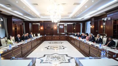 Türkiyəli deputatlar Milli Məclisdə - FOTO