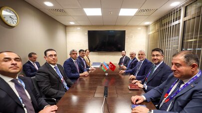 Anar Əliyev Cenevrədə BƏT-in Baş direktoru və bir sıra ölkələrin nazirləri ilə görüşdü