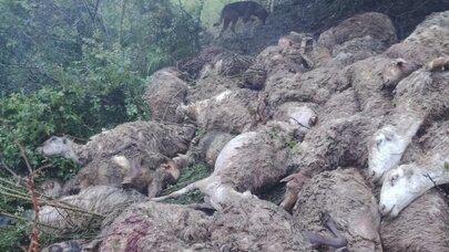 Daşkəsən və Tovuzda güclü leysan fəsadlar törətdi - YENİLƏNDİ/ FOTO