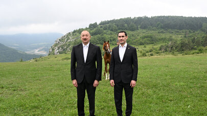Türkmənistan Prezidentinə Qarabağ atı hədiyyə edildi - FOTO