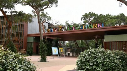 Bakı zooparkı ləğv olunur:  Əvəzində isə... - SƏRƏNCAM