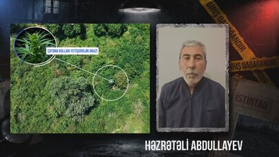 Qaxda çay sahilində çətənə kolu yetişdirən şəxs saxlanıldı - VİDEO