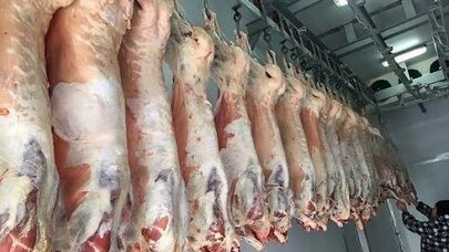 Niyə bu qədər ucuzdur? - 12 manata satılan quzu əti ilə bağlı ekspert rəyi
