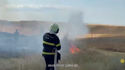 Taxıl sahəsində yanğın oldu - Video