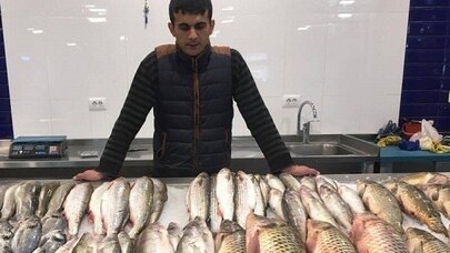 Azərbaycanda balığa da vergi gəlir - Qiymətlər kəskin bahalaşacaq