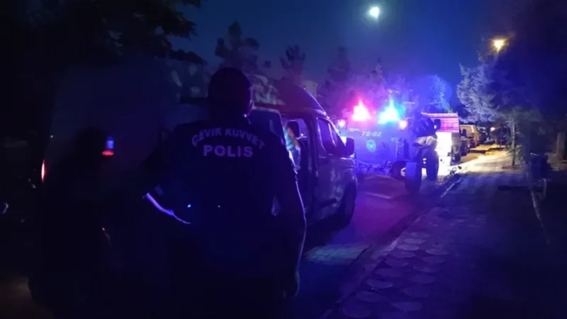 AK Partinin üzvü, oğlu və qardaşı oğlu güllələndi