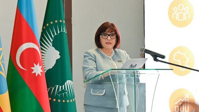 Parlamentlər vətəndaşların gözləntilərini siyasətə çevirir - Sahibə Qafarova