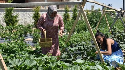 Bu oteldə qalanlar pul ödəmir, bağ işlərinə kömək edirlər - Foto
