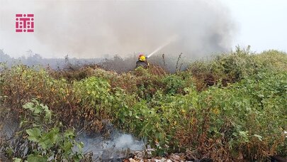 Lənkəranda yanğın baş verdi