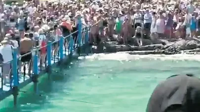 Sosial media paylaşımları turizm xaosu yaratdı: Cənnət cəhənnəmə çevrildi