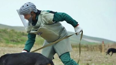 ANAMA-ya 60-dan çox minaaxtaran it bağışlanılıb