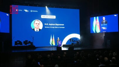 Xəzərdə suyun səviyyəsinin azalması iqlim dəyişikliyinin bariz nümunəsidir - Ceyhun Bayramov