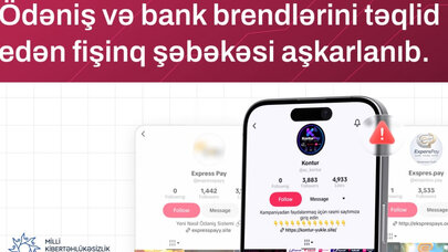 6 saxta sayt bank kartı məlumatlarını oğurlayır - Vətəndaşlara xəbərdarlıq