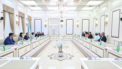 Sahibə Qafarova Pan- Afrika Parlamentinin Prezidenti ilə görüşüb