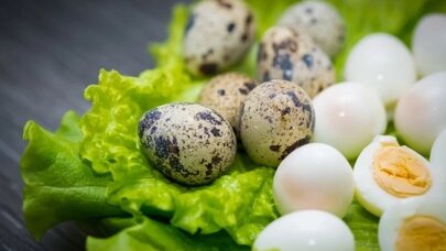 Bildirçin yoxsa toyuq yumurtası? - Həkim fərqi açıqladı