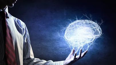 İnsan beyninin mənşəyi ilə bağlı yeni sirr: İki qədim sistem birləşib