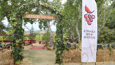 Şamaxıda Üzüm və Şərab Festivalı başladı - FOTO