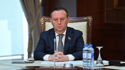 Azərbaycanda humanizm siyasəti Heydər Əliyev tərəfindən əsası qoyulan ənənədir - Samir Vəliyev