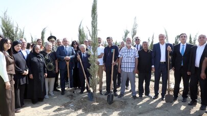 Anım Günü ilə əlaqədar Suraxanıda ağacəkmə aksiyası və rəsm sərgisi keçirildi