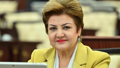 Azərbaycanla Türkiyənin arasına nifaq salmağa çalışanlara fürsət verilməməlidir - Tənzilə Rüstəmxanlı