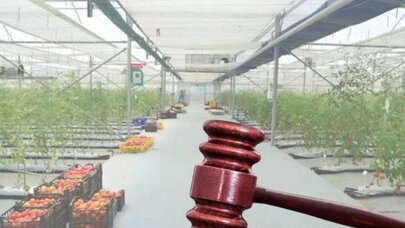 Azərbaycanda məşhur şirkət CƏRİMƏLƏNDİ