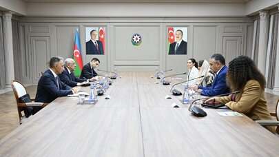 Baş nazir Rəqəmsal Əməkdaşlıq Təşkilatının Baş katibi ilə görüşdü