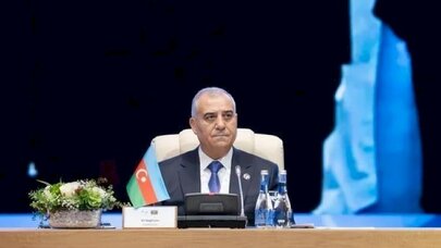 Əli Nağıyev Azərbaycanın itkin düşmüş şəxslərinin sayını açıqladı