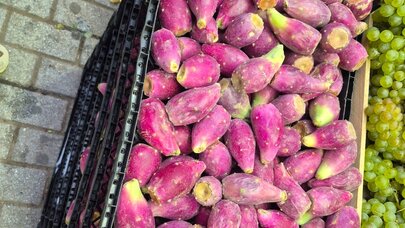 Ağır xəstəliyi sağaltdığı deyilən həmin bitki Bakı bazarında - Foto