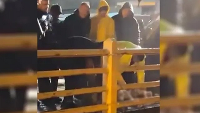 Türkiyədə bir qrup şəxs yağışın dayanması üçün qurban kəsdi - VİDEO